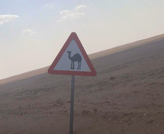 camel-sign